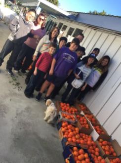 group-pic-tangelo-harvest